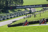 brands-hatch-photographs;brands-no-limits-trackday;cadwell-trackday-photographs;enduro-digital-images;event-digital-images;eventdigitalimages;no-limits-trackdays;peter-wileman-photography;racing-digital-images;trackday-digital-images;trackday-photos